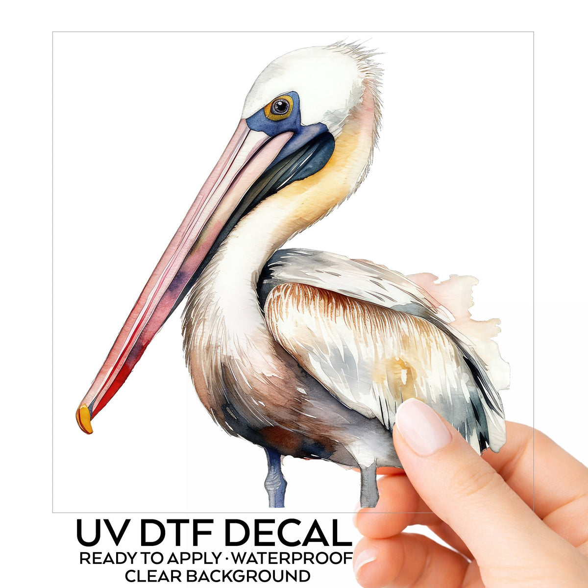Watercolor pelican UV DTF sticker collection