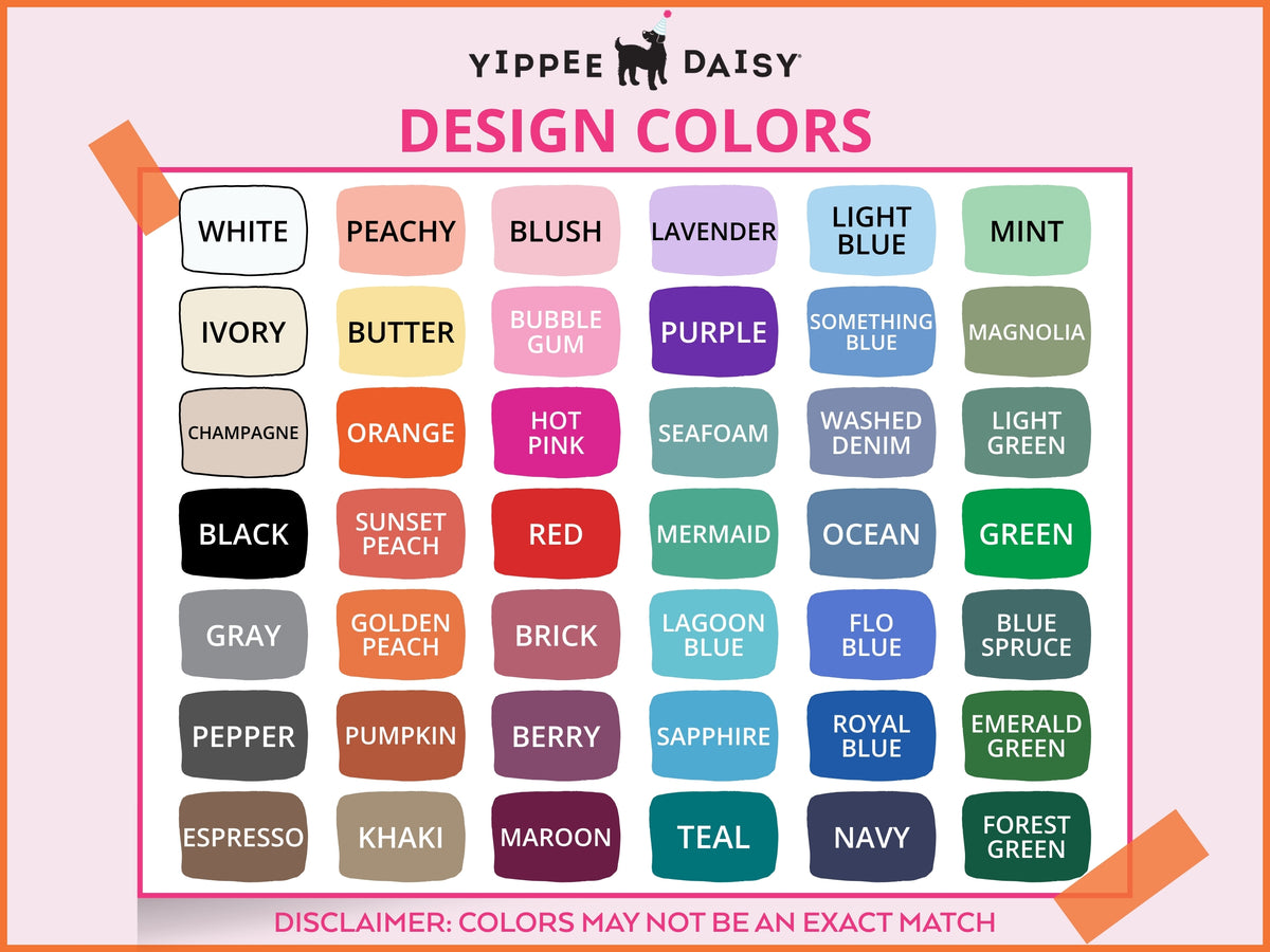 Nashville Birthday Party Can Coolers