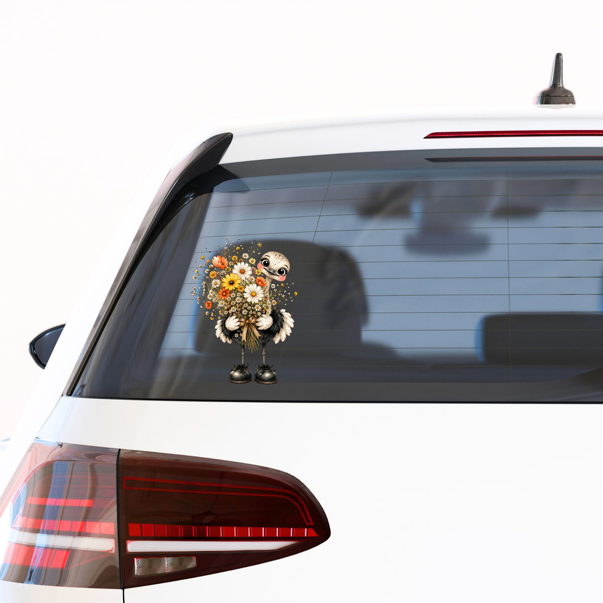 Ostrich Holding Daisy Bouquet UV DTF sticker applied to the rear window of a white car