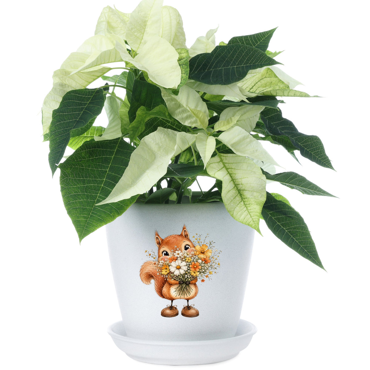 Red Squirrel Holding Daisy Bouquet UV DTF sticker applied to a white flower pot