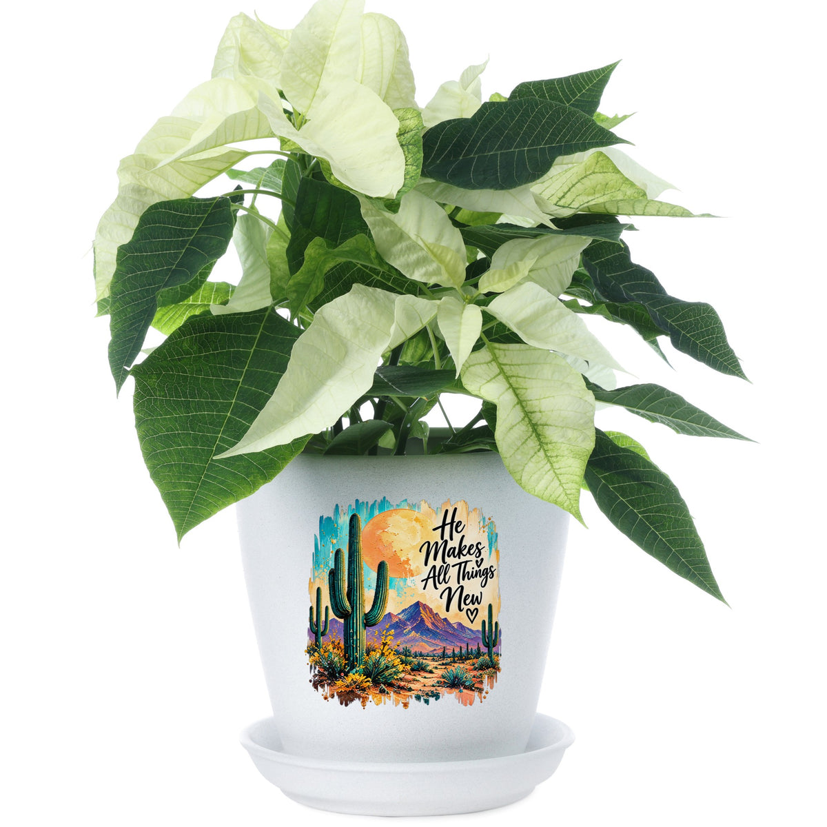 He Makes All Things New desert cactus UV DTF sticker on a potted plant pot