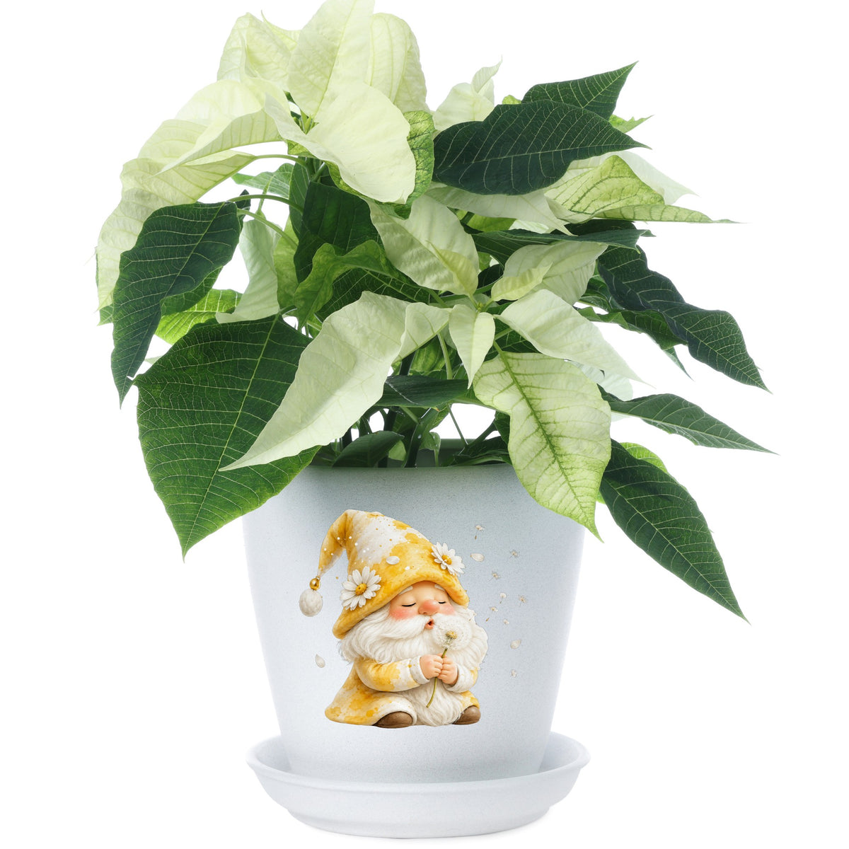 Gnome Blowing A Dandelion UV DTF sticker applied to a white flower pot