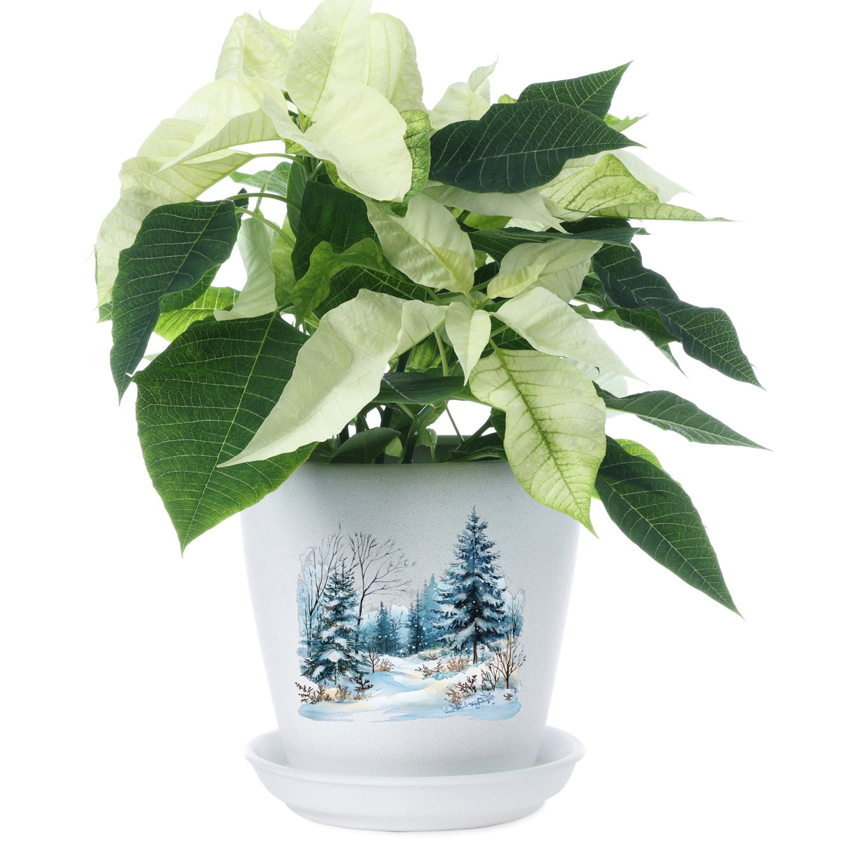 Snowy Pine Forest UV DTF sticker applied to a plant pot