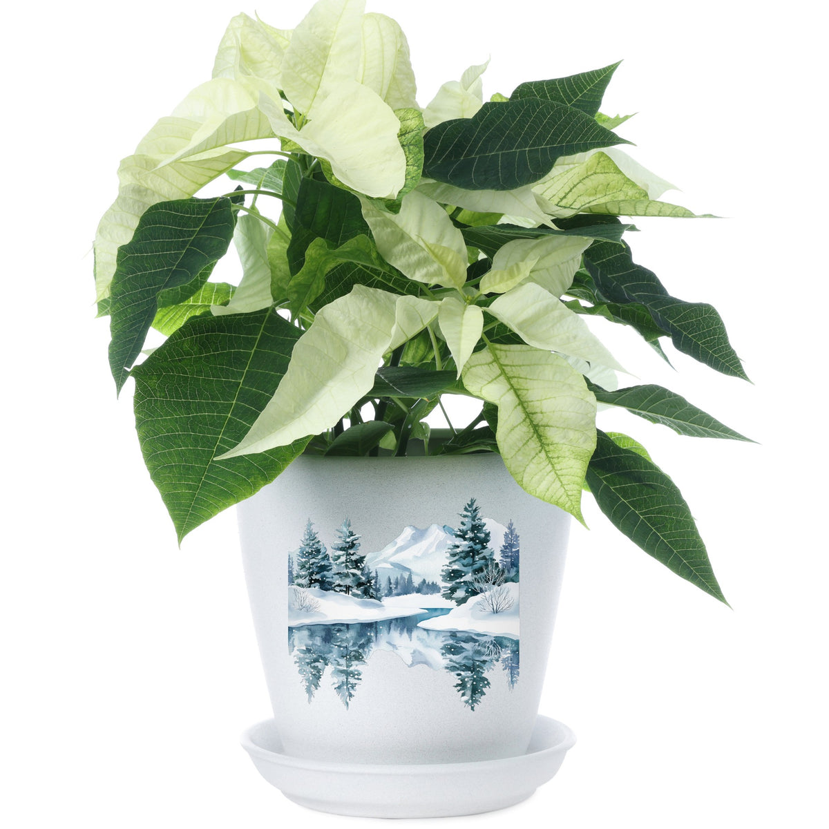 Winter Lake Reflection UV DTF sticker applied to a plant pot