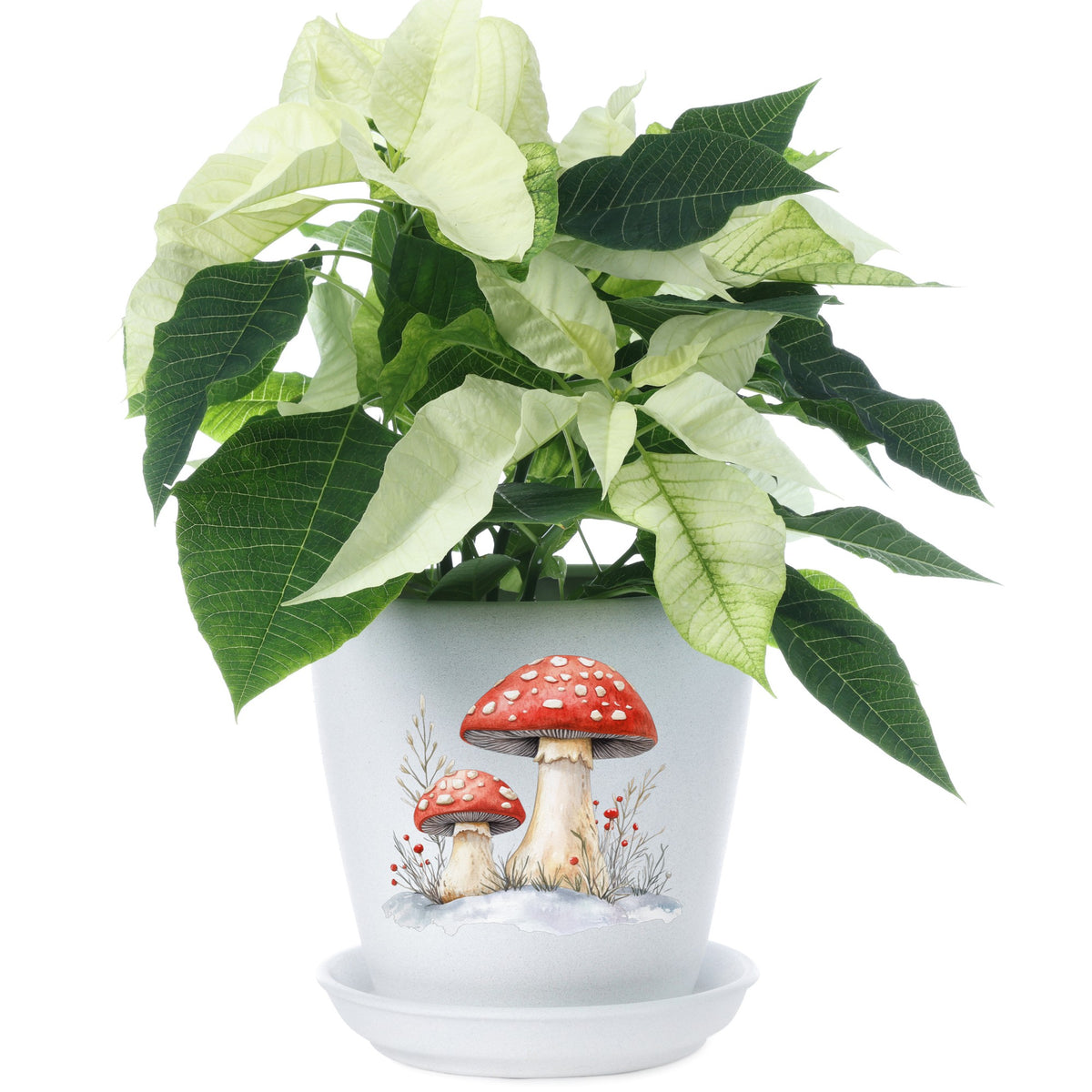 Red Mushrooms In Snow UV DTF sticker applied to a plant pot