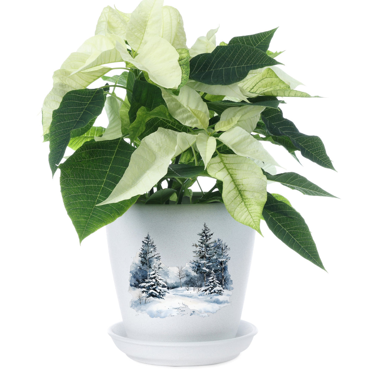 Falling Snow Pine Forest UV DTF sticker applied to a plant pot