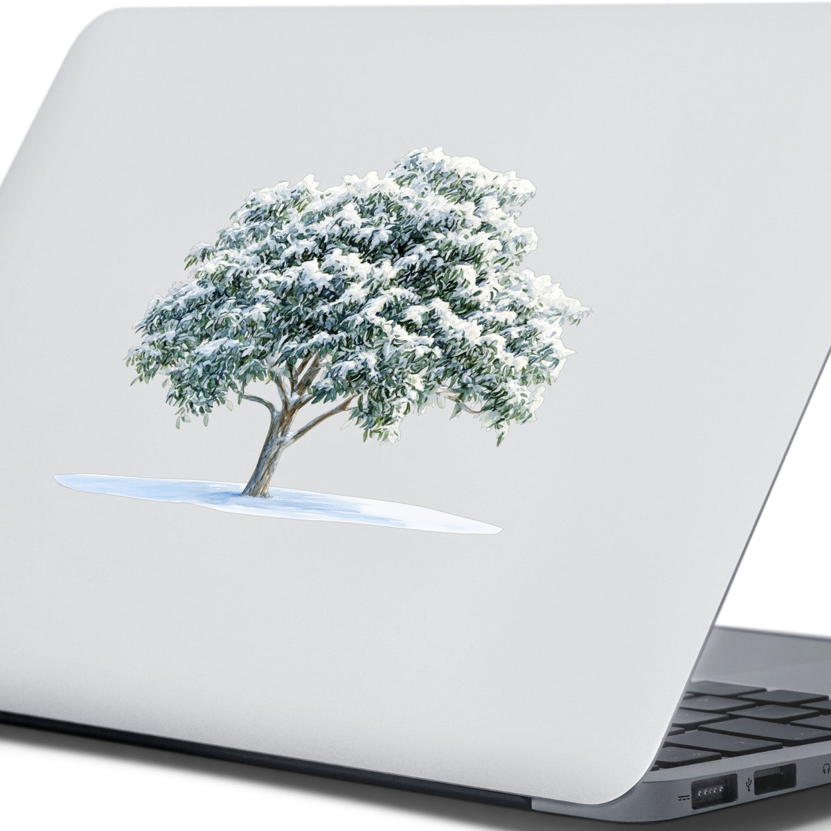 Snow Covered Tree UV DTF sticker applied to a laptop