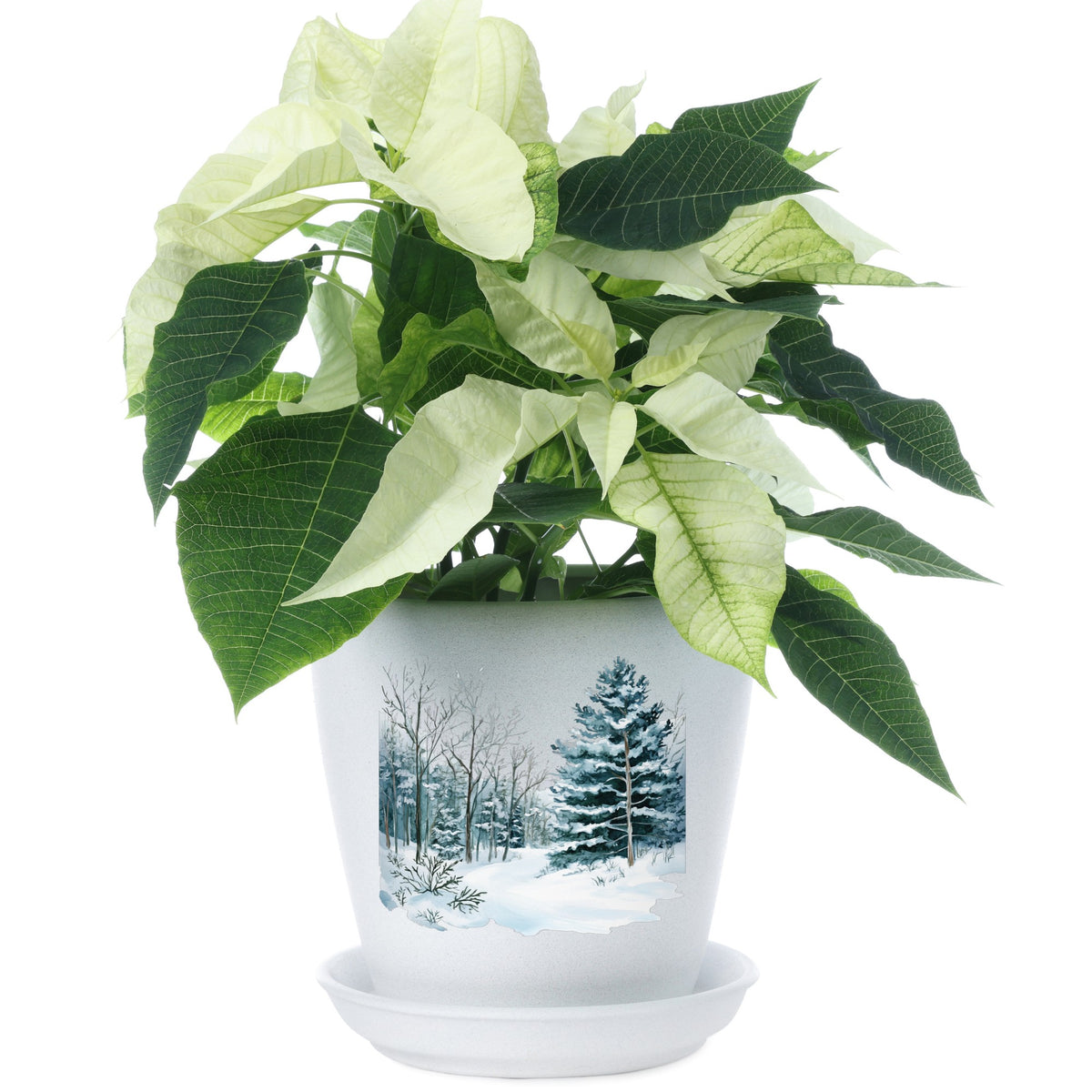 Tall Spruce Winter Forest UV DTF sticker applied to a plant pot