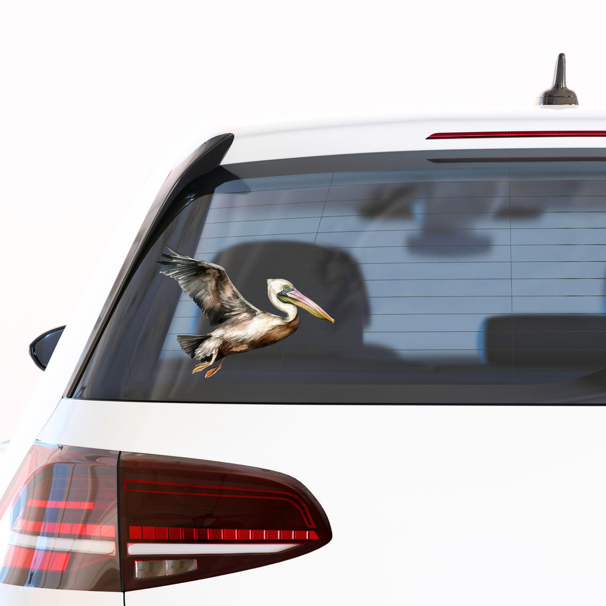 Flying Brown Pelican UV DTF sticker applied to a car window