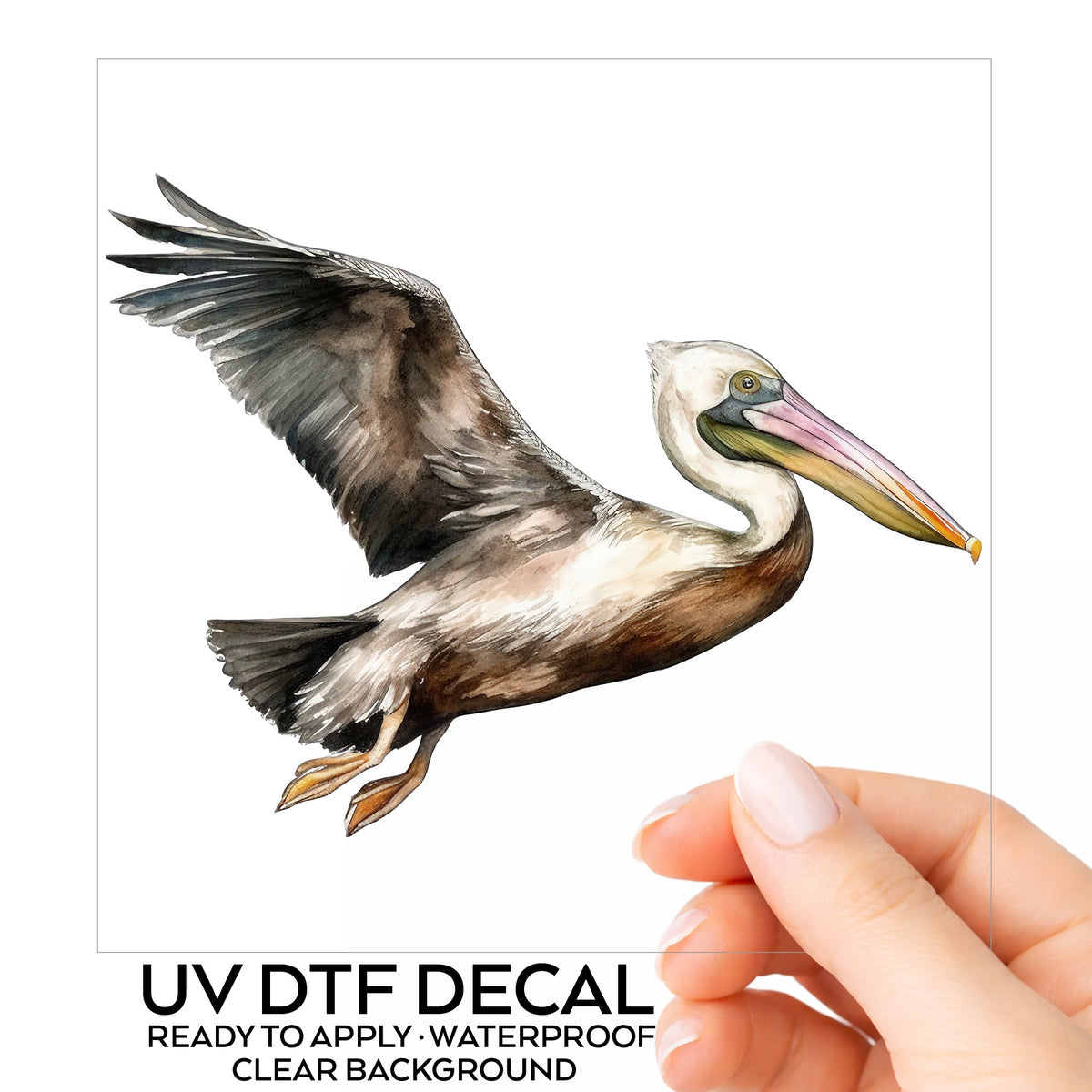 Flying Brown Pelican UV DTF sticker