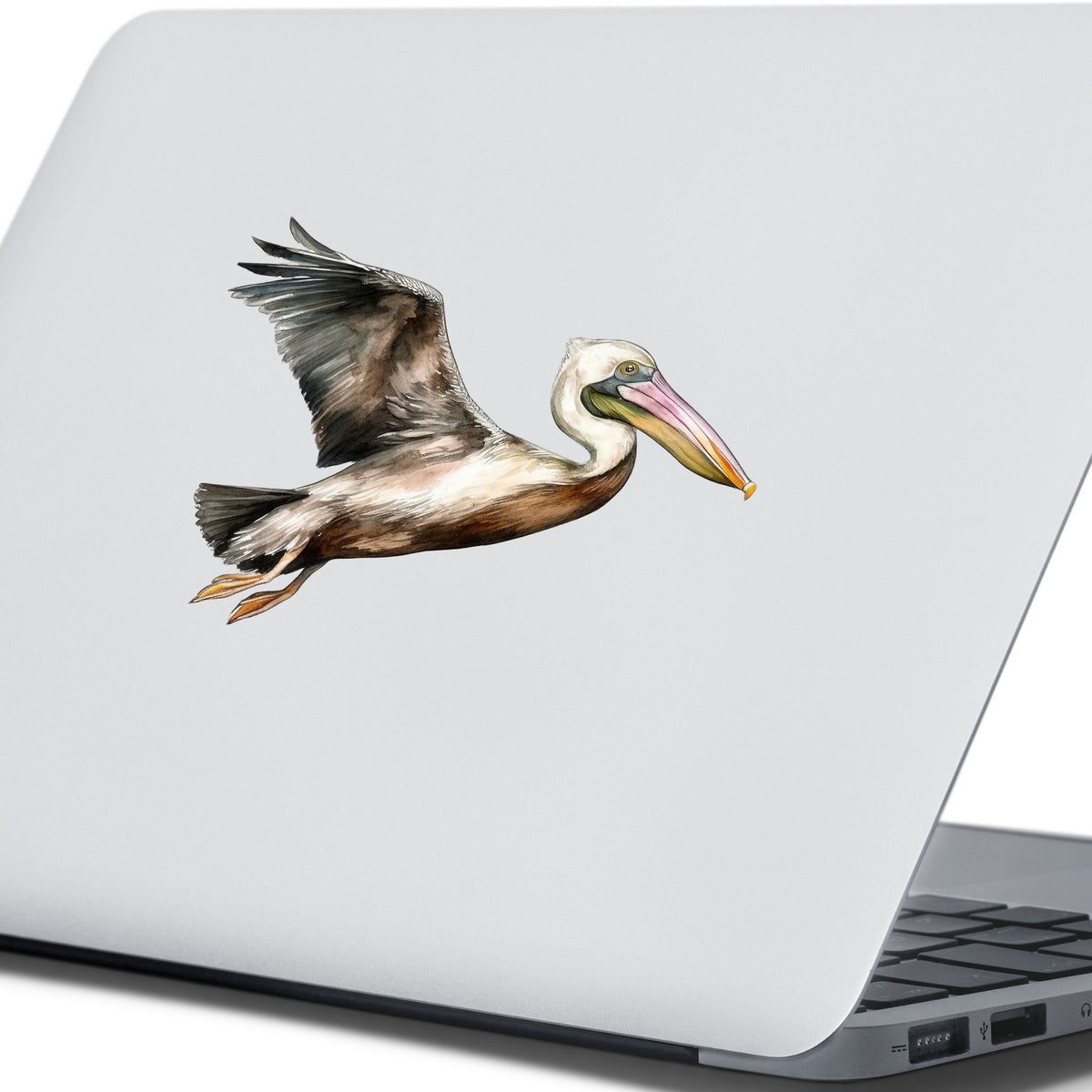 Flying Brown Pelican UV DTF sticker applied to a laptop