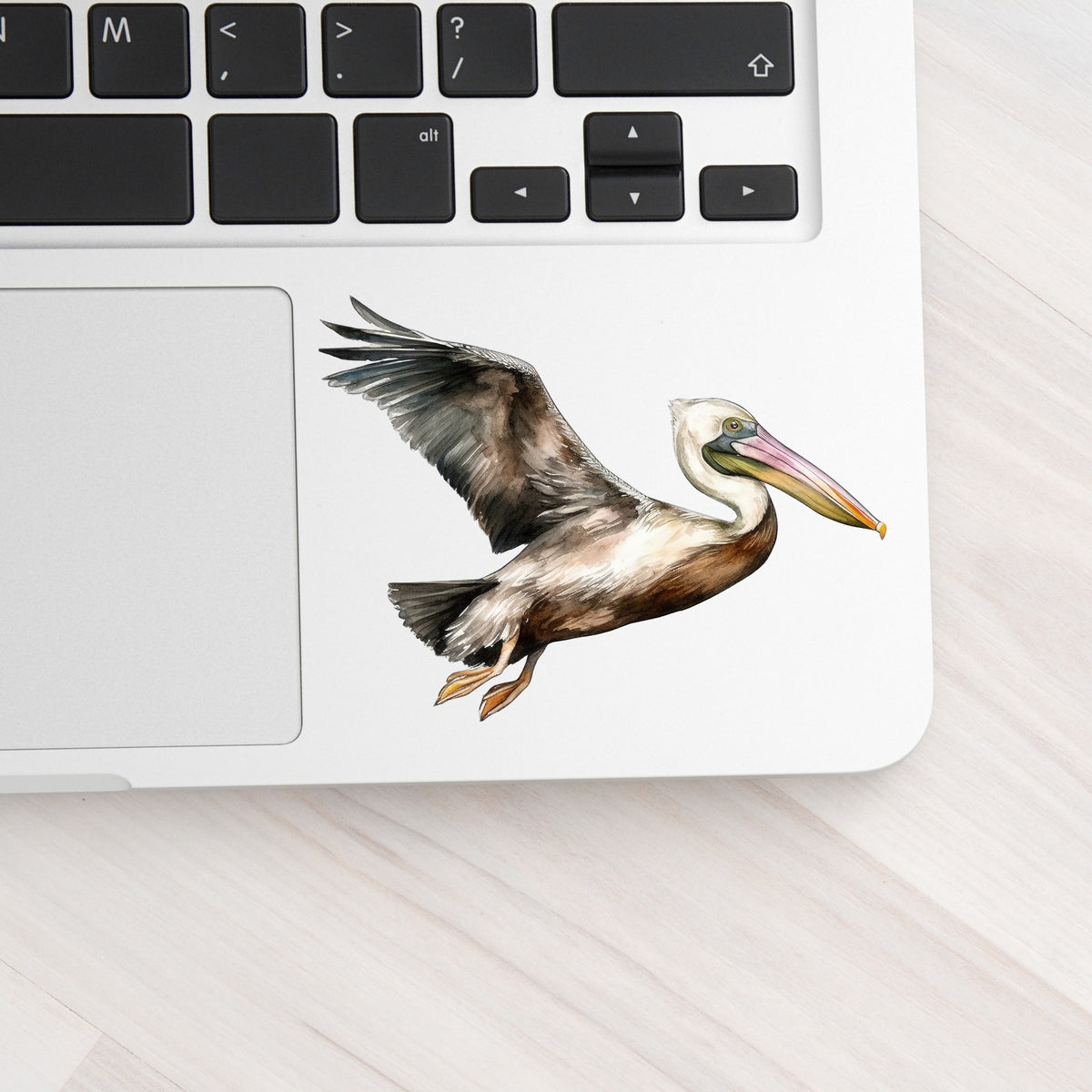 Flying Brown Pelican UV DTF sticker applied to a laptop beside the keyboard