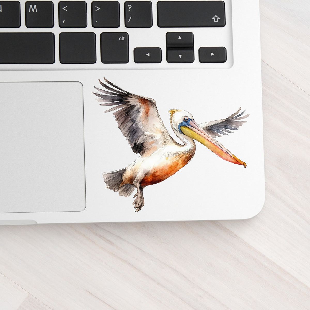 Pelican With Wings Spread UV DTF sticker applied to a laptop beside the keyboard