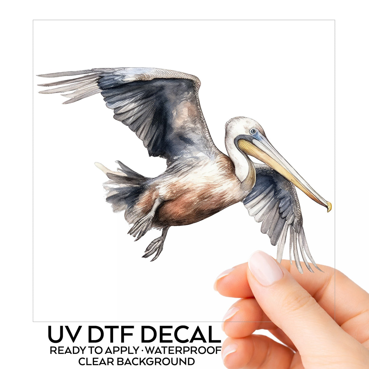 Gliding Gray Pelican UV DTF sticker
