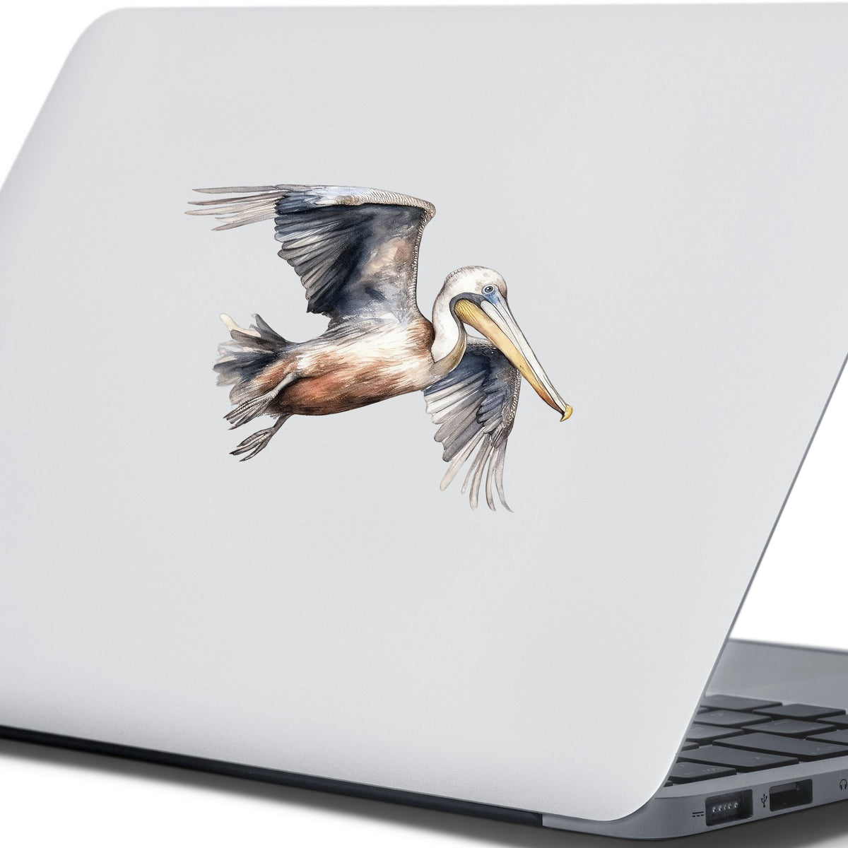 Gliding Gray Pelican UV DTF sticker applied to a laptop