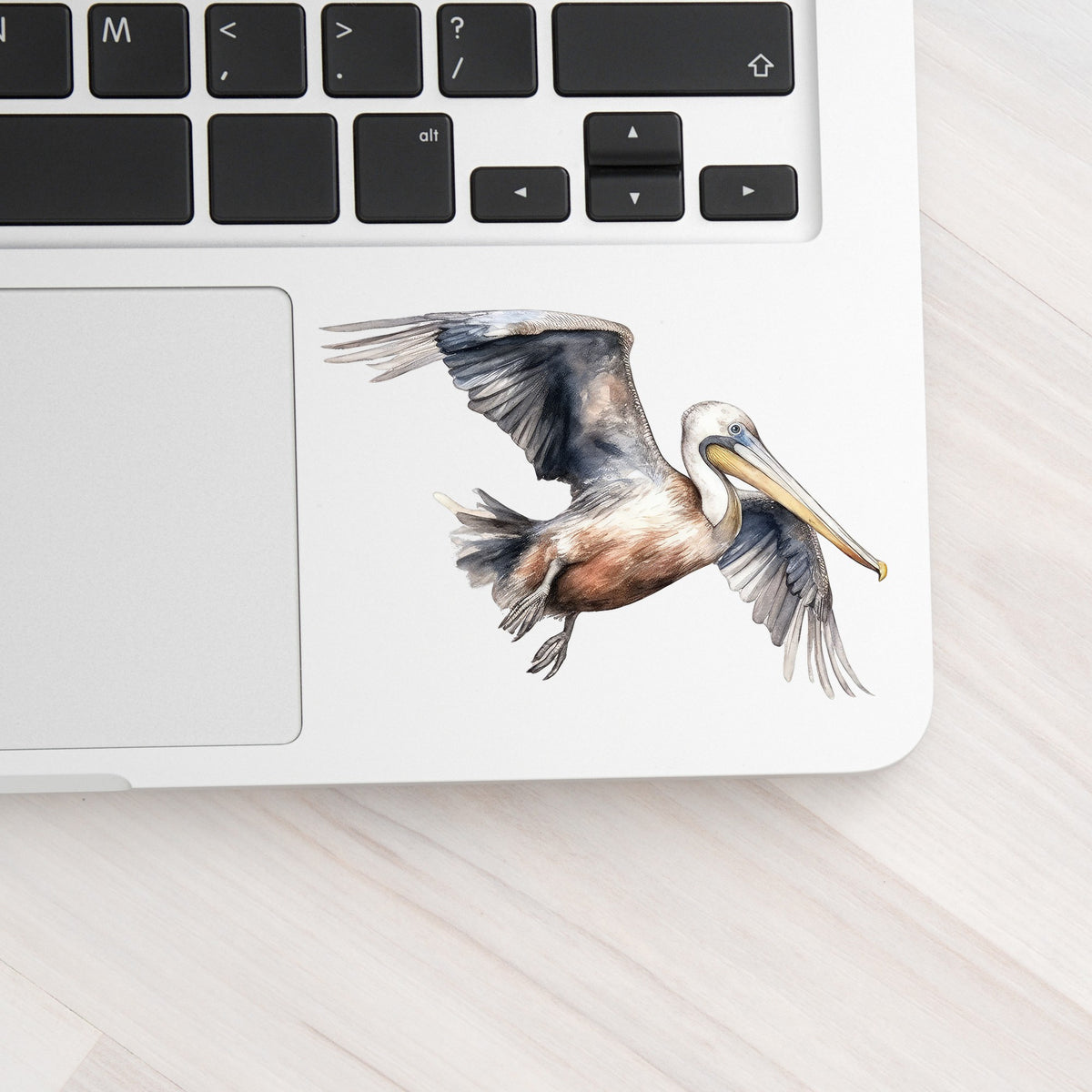 Gliding Gray Pelican UV DTF sticker applied to a laptop beside the keyboard