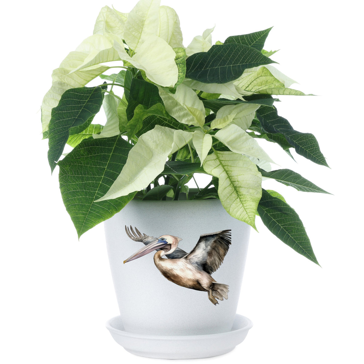 Pelican In Flight UV DTF sticker applied to a plant pot