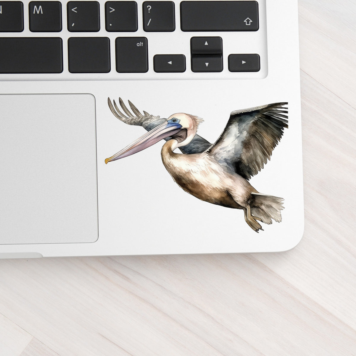 Pelican In Flight UV DTF sticker applied to a laptop beside the keyboard