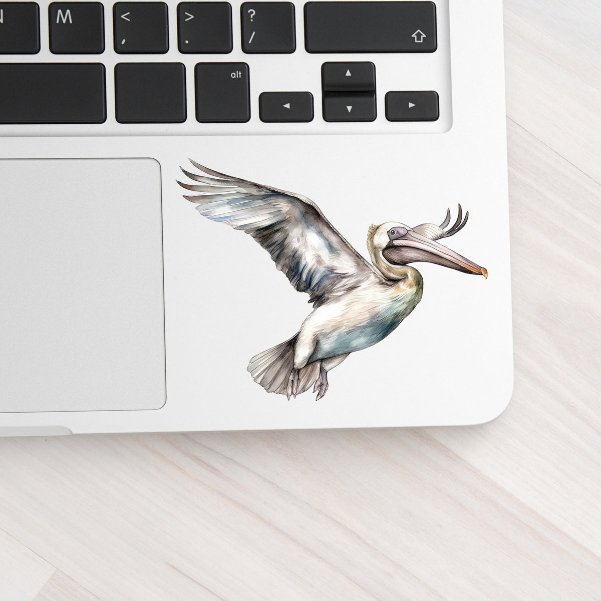 Pale Blue Pelican UV DTF sticker applied to a laptop beside the keyboard
