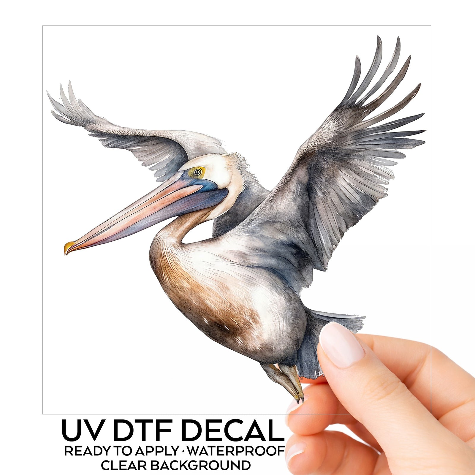 Soaring Pelican UV DTF sticker