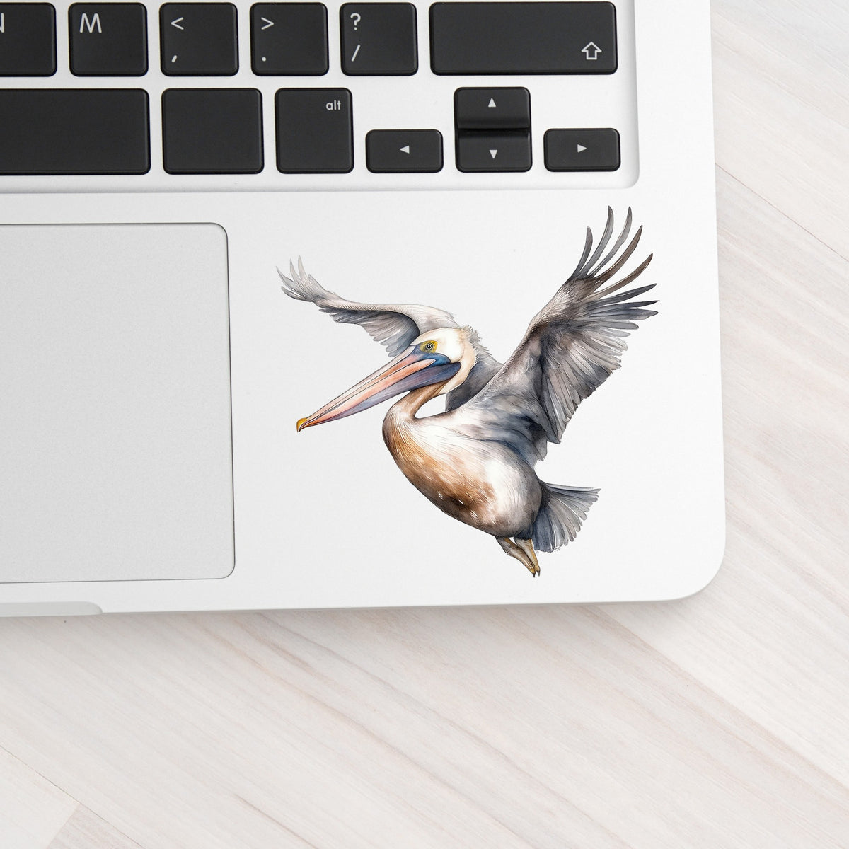 Soaring Pelican UV DTF sticker applied to a laptop beside the keyboard