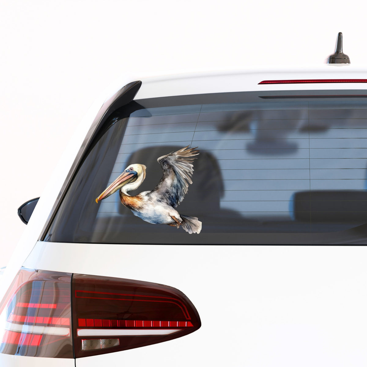 Wide Winged Pelican UV DTF sticker applied to a car window