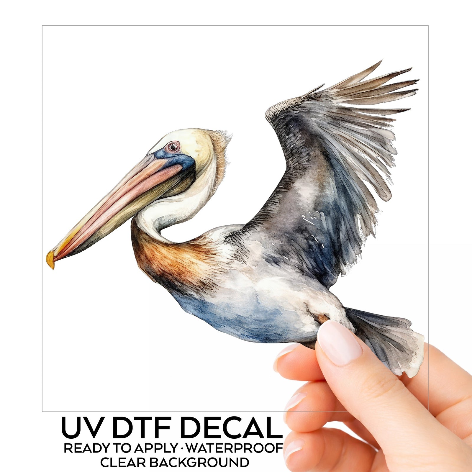 Wide Winged Pelican UV DTF sticker