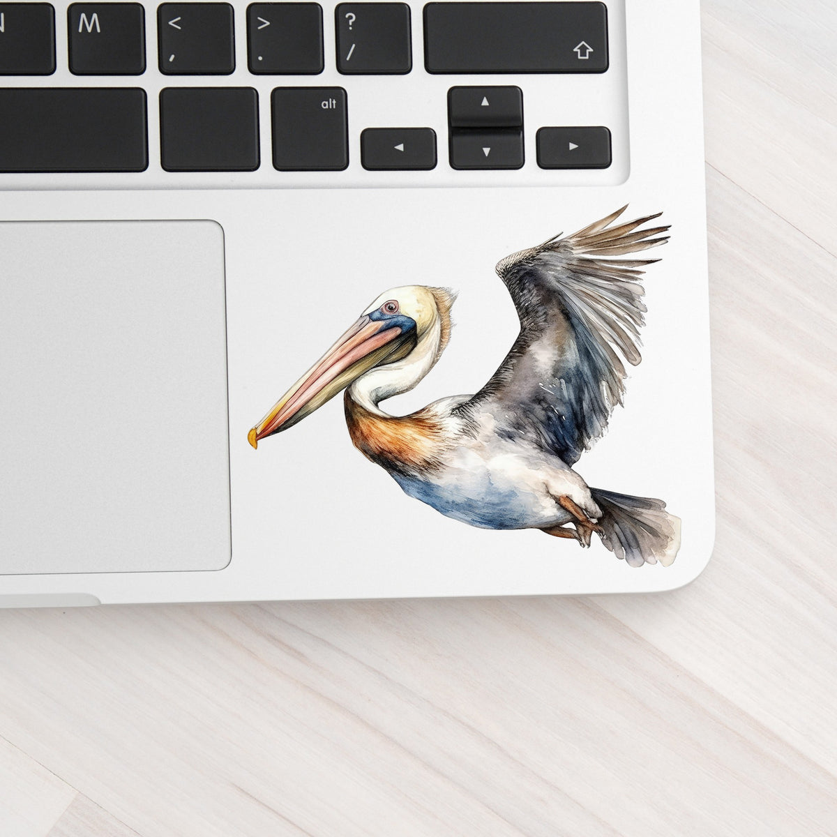 Wide Winged Pelican UV DTF sticker applied to a laptop beside the keyboard