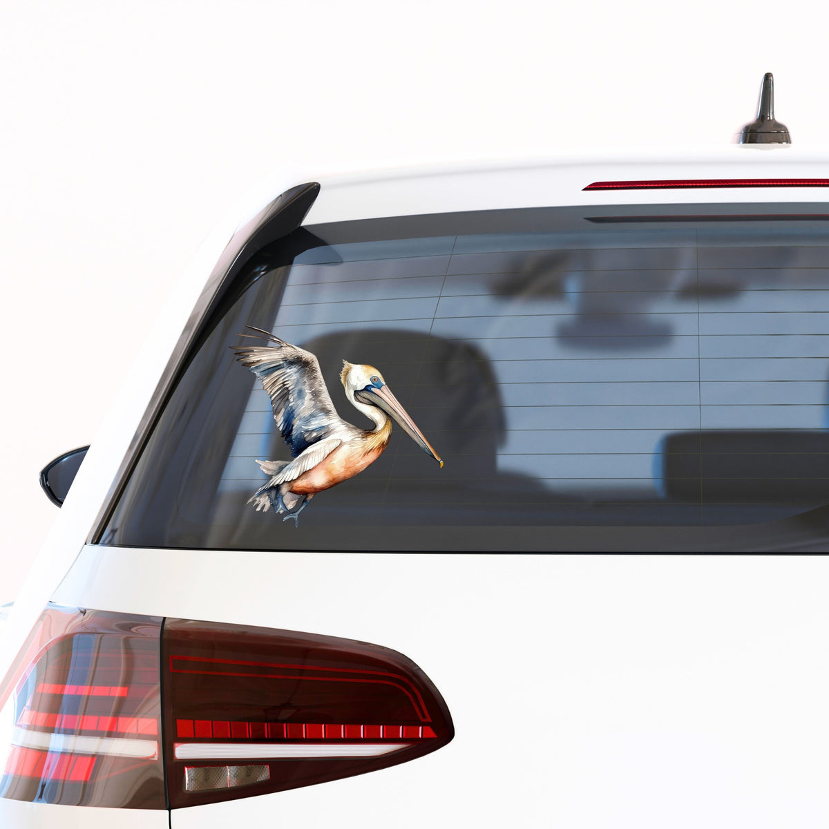 Blue Winged Pelican UV DTF sticker applied to a car window