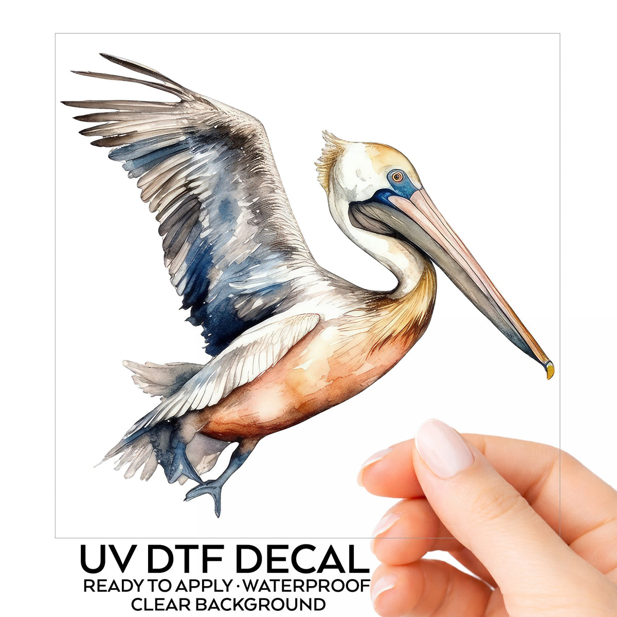 Blue Winged Pelican UV DTF sticker
