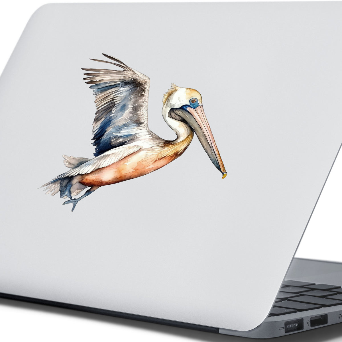Blue Winged Pelican UV DTF sticker applied to a laptop