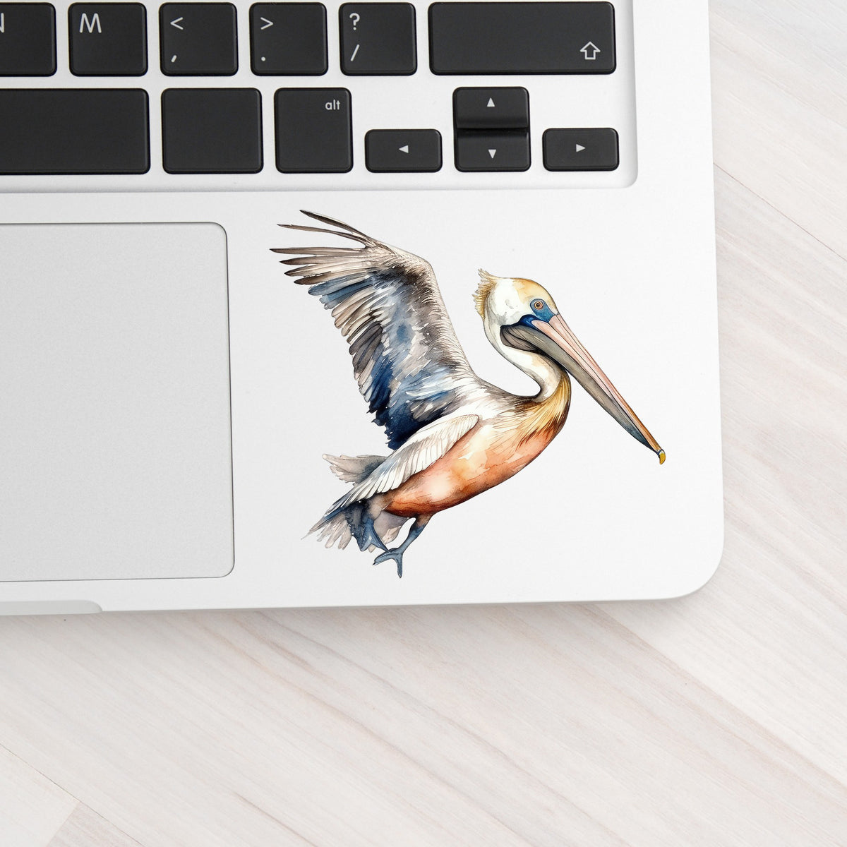 Blue Winged Pelican UV DTF sticker applied to a laptop beside the keyboard