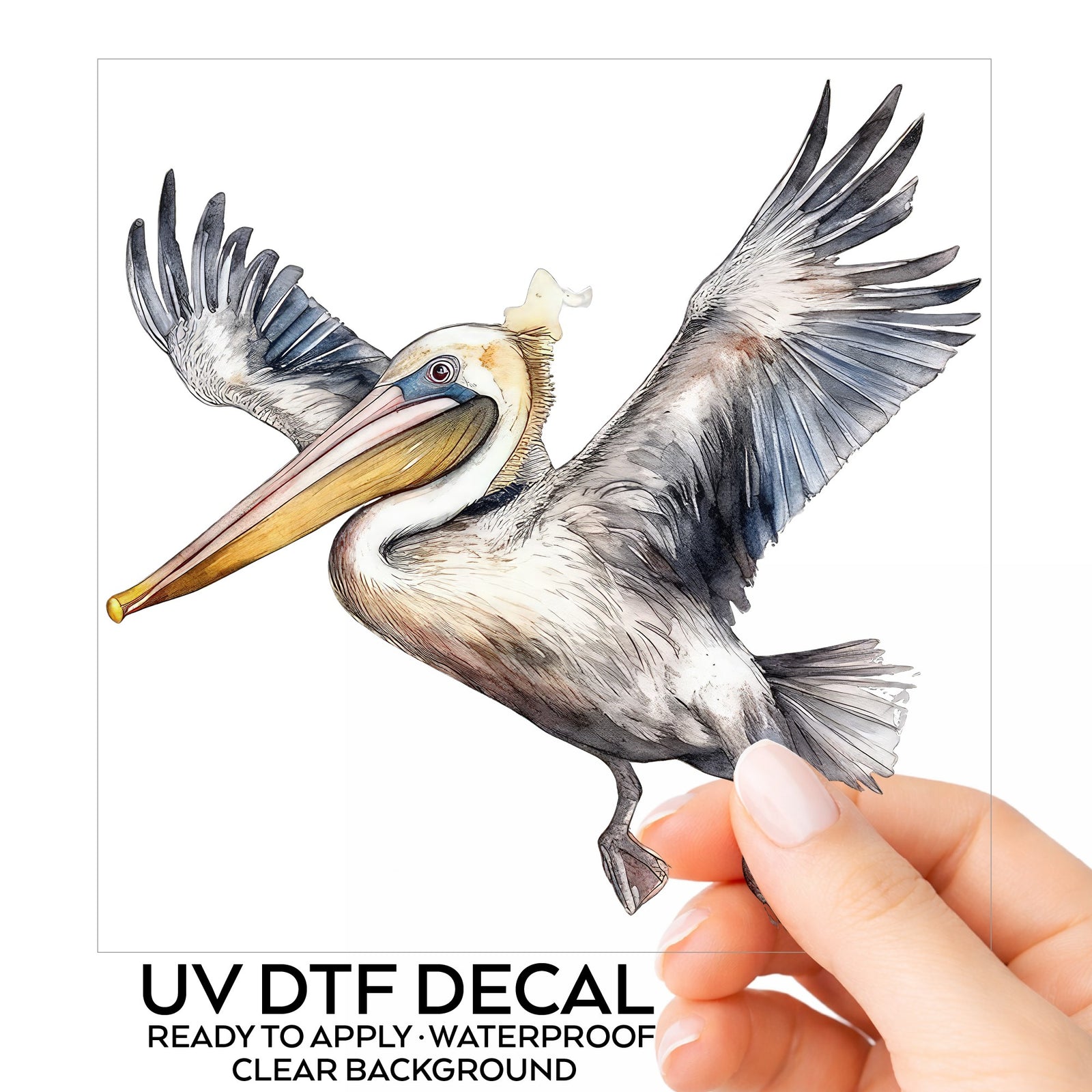 Pelican Taking Flight UV DTF sticker
