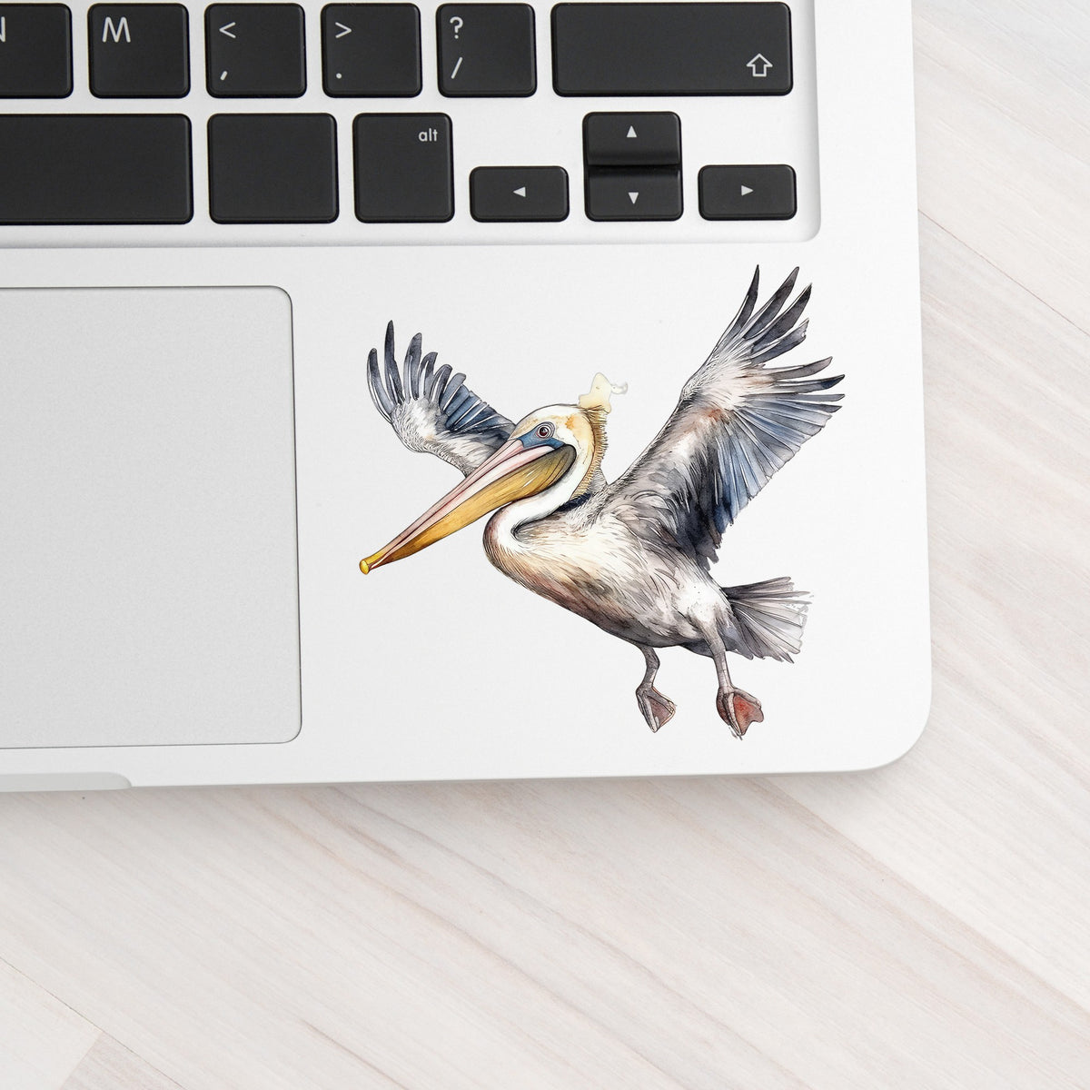 Pelican Taking Flight UV DTF sticker applied to a laptop beside the keyboard