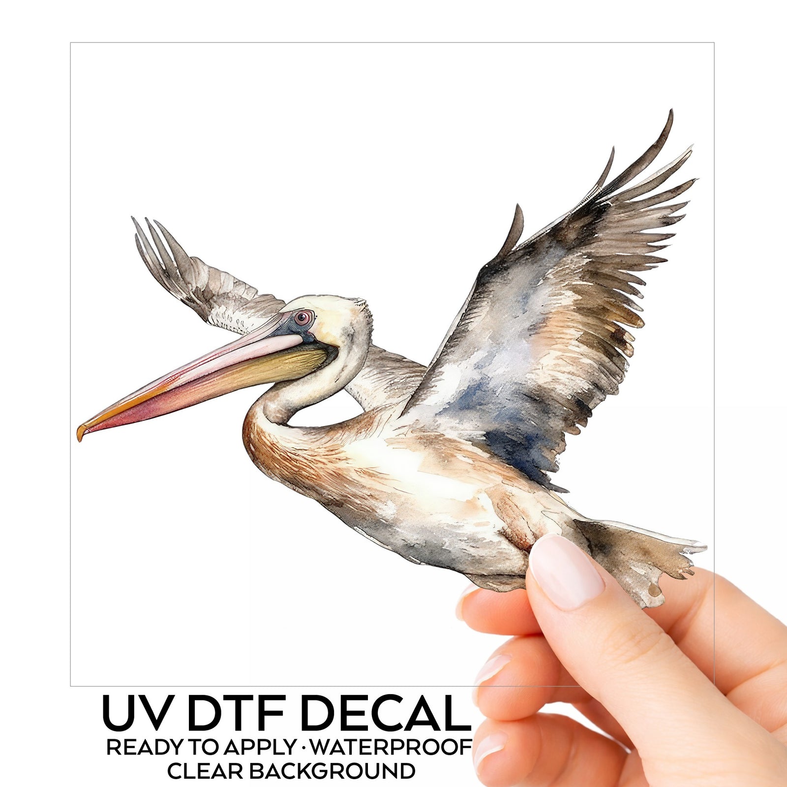 Coastal Pelican In Flight UV DTF sticker