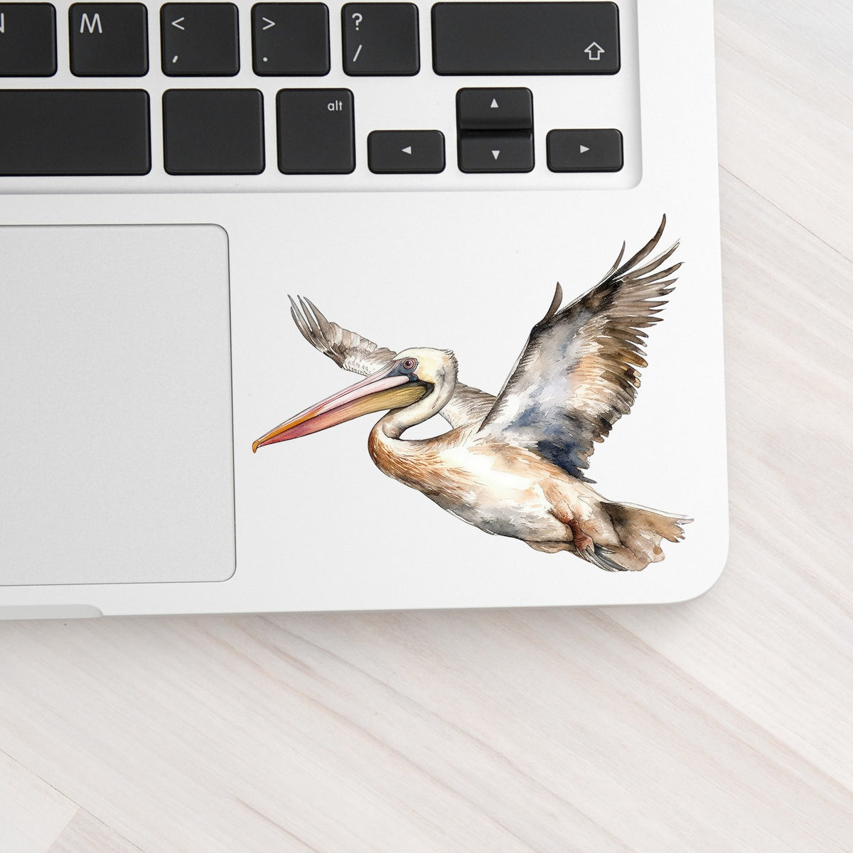 Coastal Pelican In Flight UV DTF sticker applied to a laptop beside the keyboard