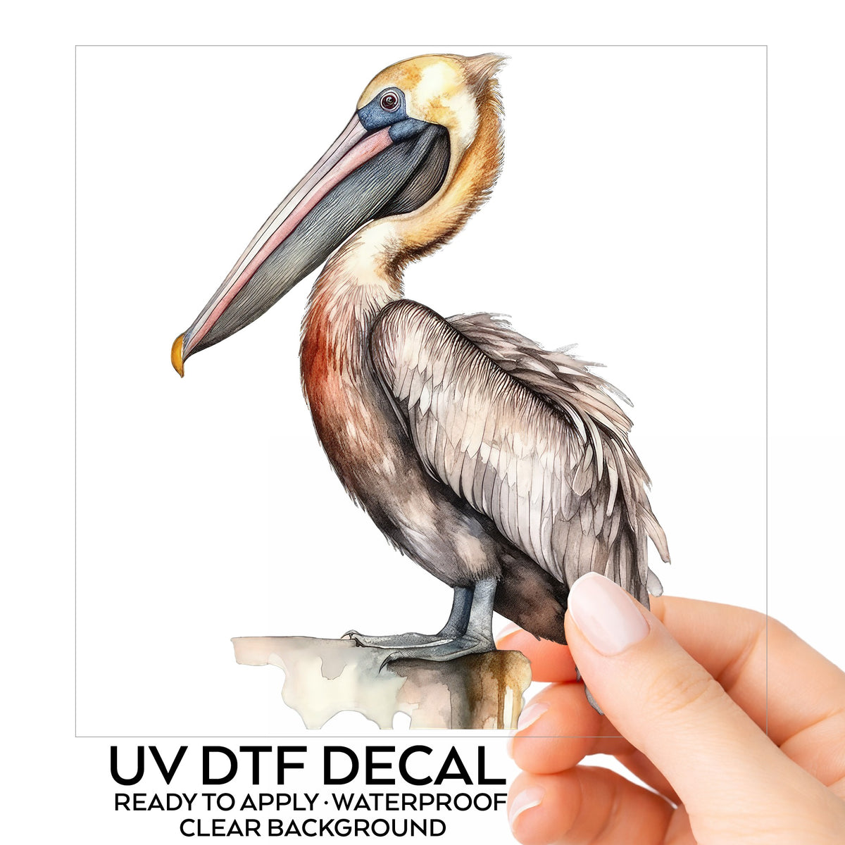 Golden Head Pelican UV DTF sticker