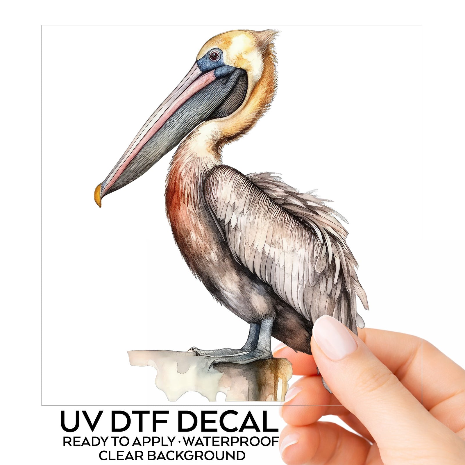 Golden Head Pelican UV DTF sticker