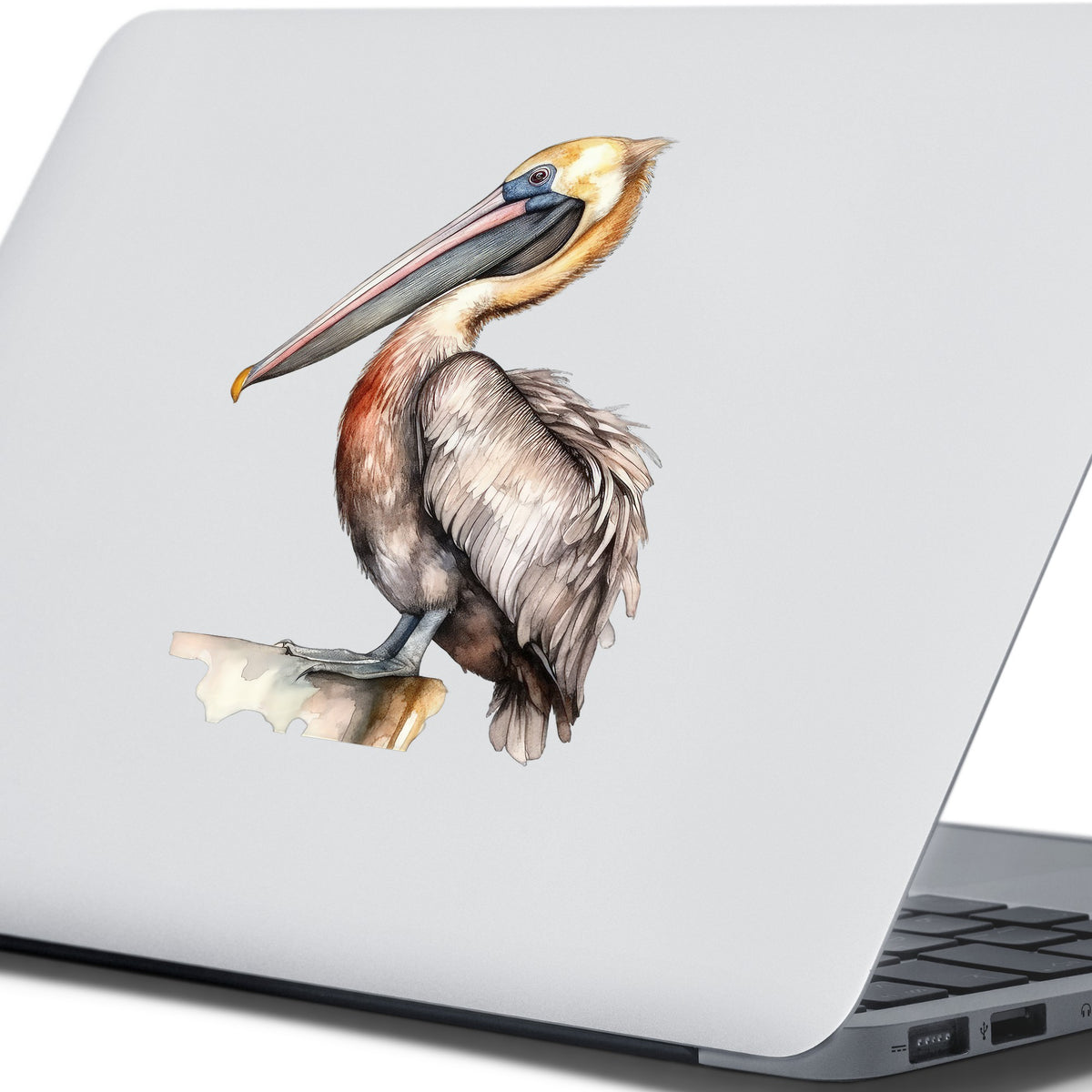 Golden Head Pelican UV DTF sticker applied to a laptop