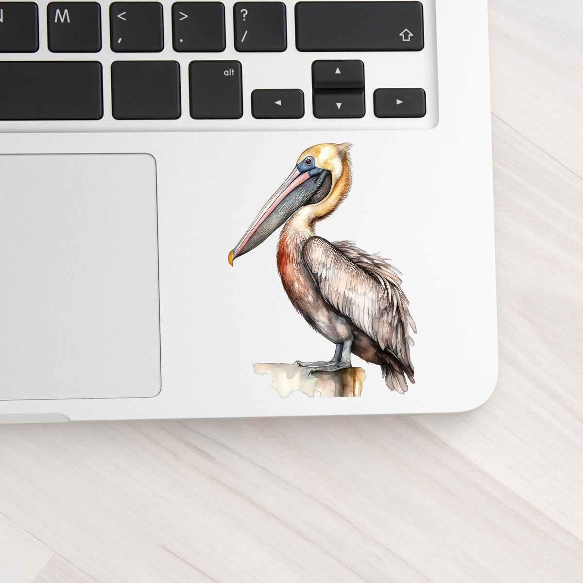 Golden Head Pelican UV DTF sticker applied to a laptop beside the keyboard