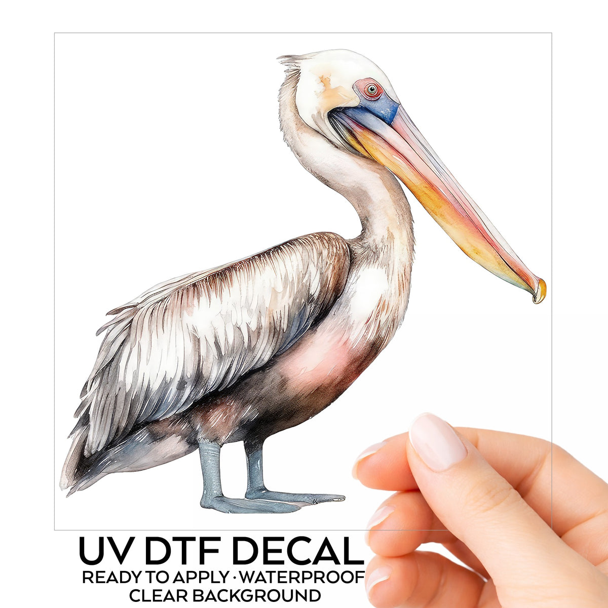 Walking Pelican UV DTF sticker