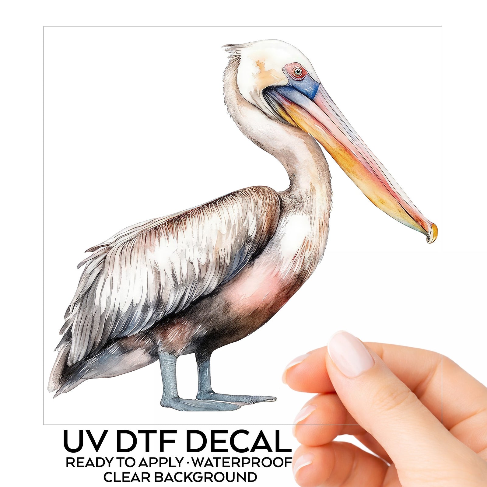Walking Pelican UV DTF sticker