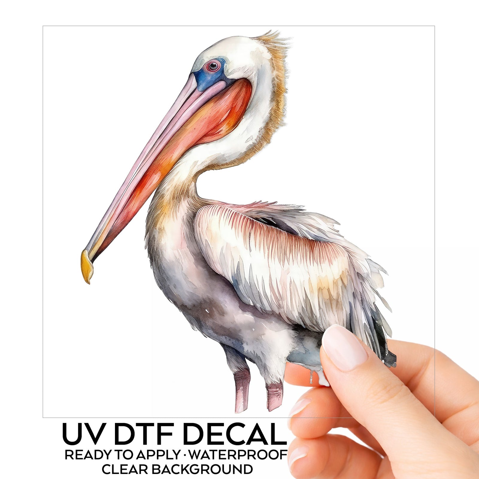 Brown Neck Pelican UV DTF sticker