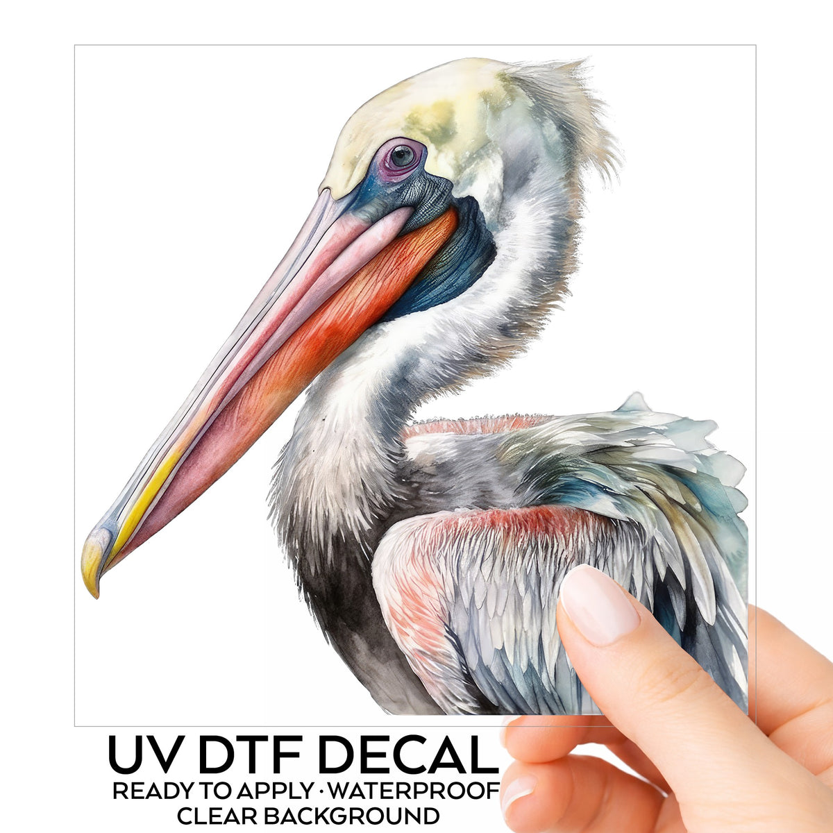Pelican Portrait UV DTF sticker