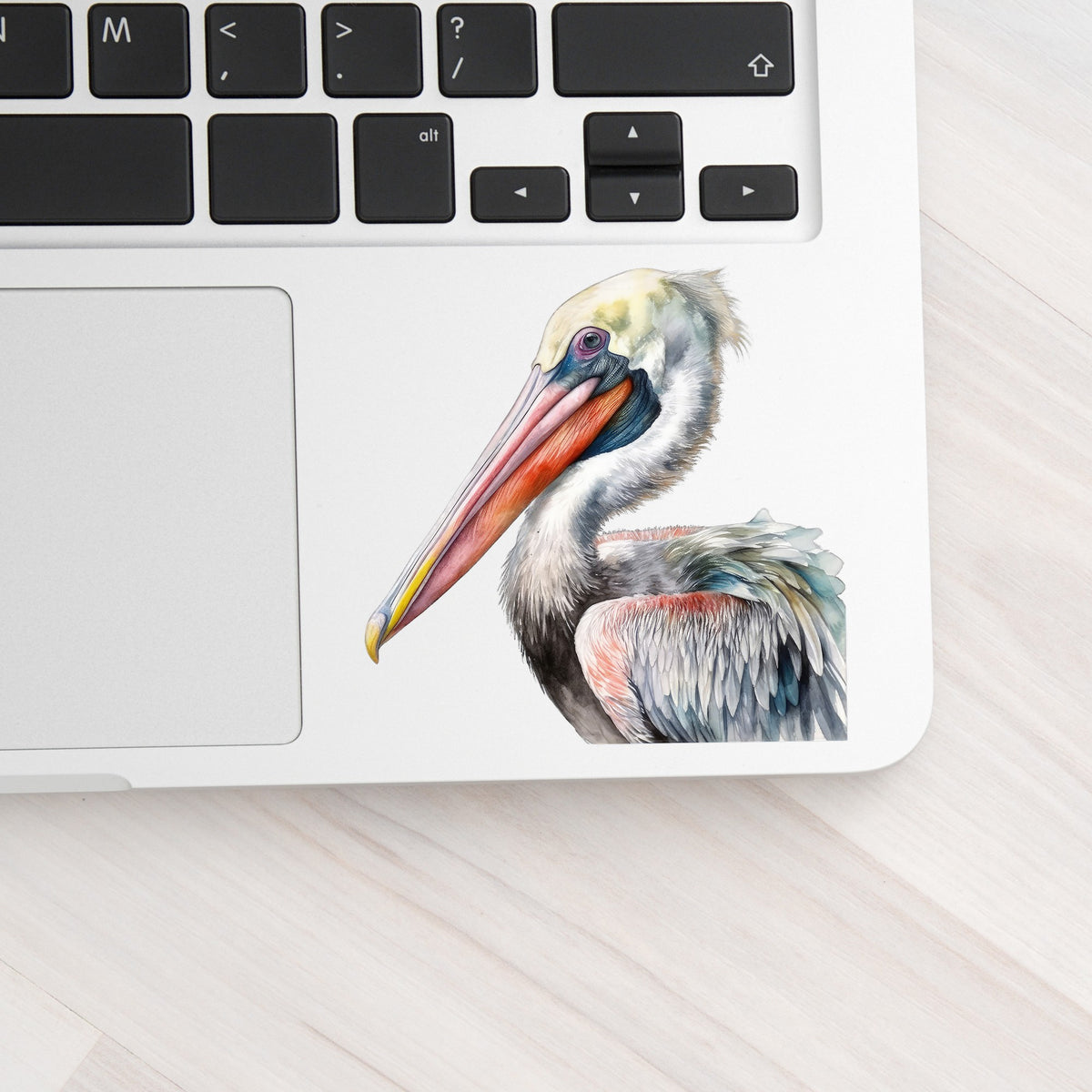 Pelican Portrait UV DTF sticker applied to a laptop beside the keyboard