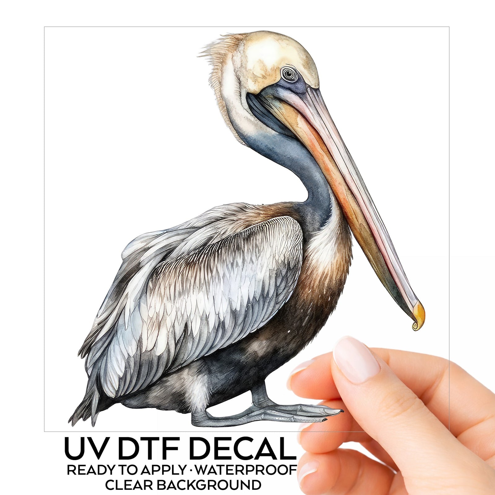 Gray Standing Pelican UV DTF sticker