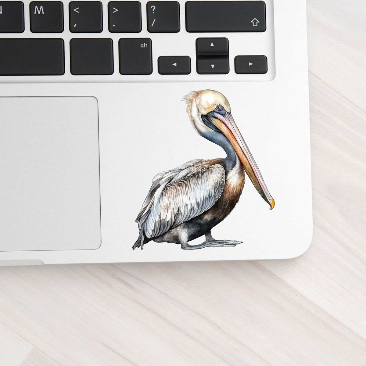 Gray Standing Pelican UV DTF sticker applied to a laptop beside the keyboard