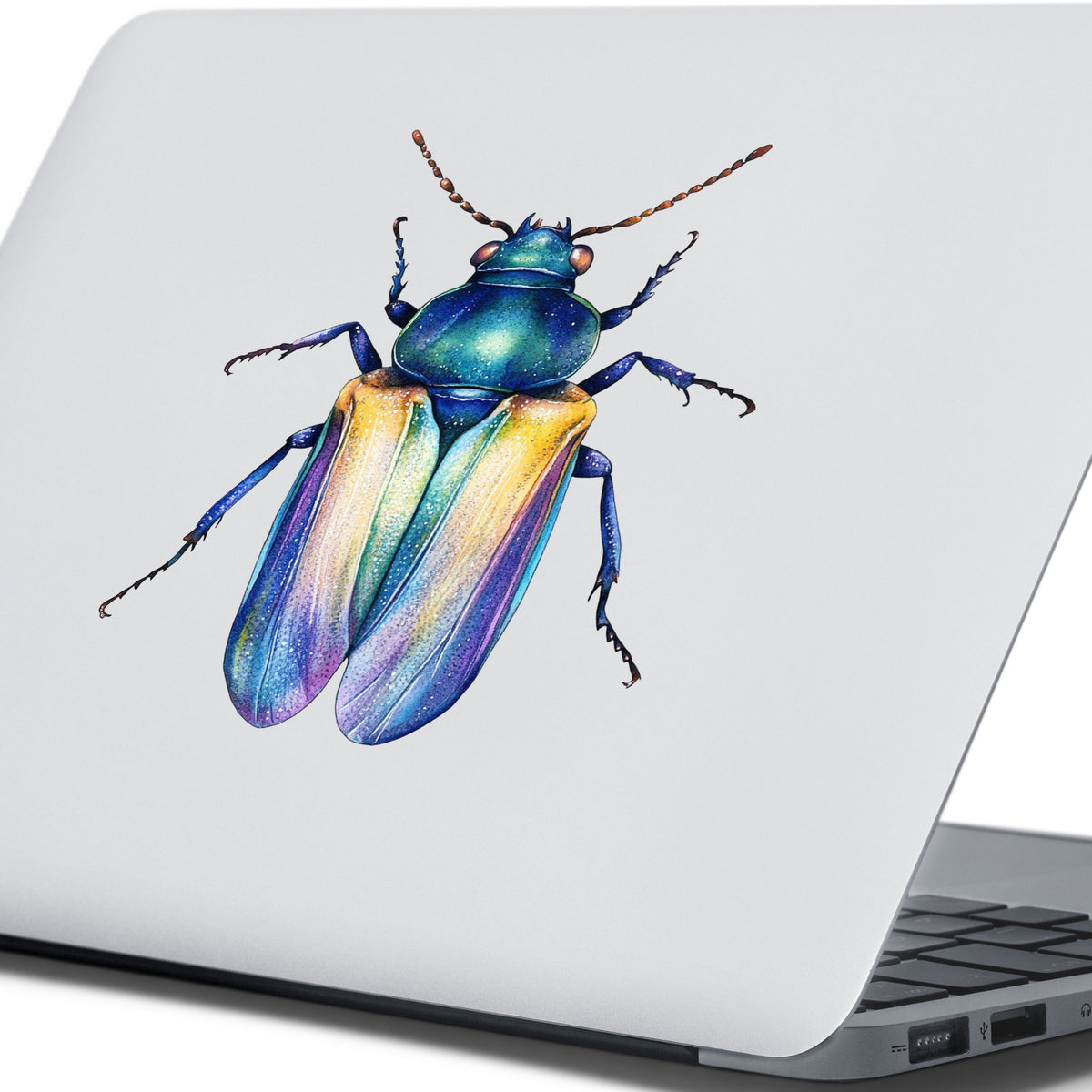 Gold And Blue Jewel Beetle UV DTF sticker applied to the lid of a silver laptop