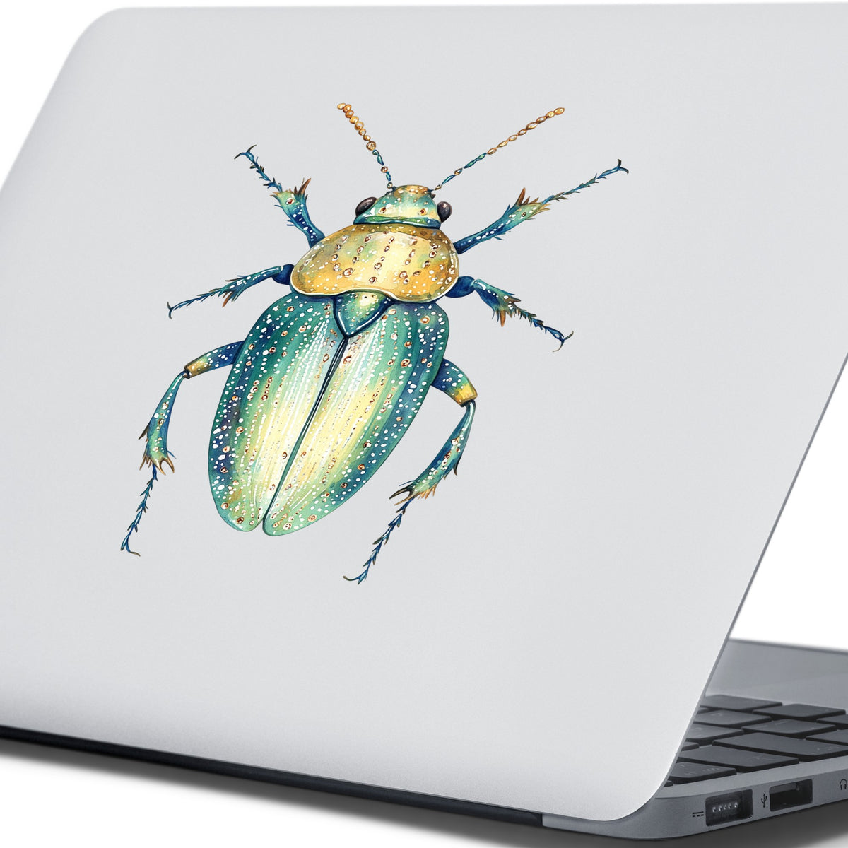 White Dotted Teal Beetle UV DTF sticker applied to the lid of a silver laptop