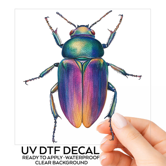 Rainbow Iridescent Beetle UV DTF sticker on its backing card, held in hand